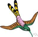 swallow dive