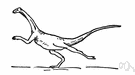 struthiomimus - small light-boned toothless dinosaur resembling an ostrich in size and proportions