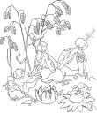 Astreus - a genus of fungi belonging to the family Geastraceae