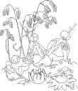 genus Astreus - a genus of fungi belonging to the family Geastraceae