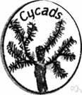 gymnosperm - plants of the class Gymnospermae having seeds not enclosed in an ovary