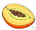 wild mango tree - African tree with edible yellow fruit resembling mangos