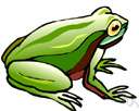 hyla - the type genus of the Hylidae