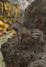 mountain zebra - narrow-striped nearly extinct zebra of southern Africa