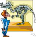 human palaeontology