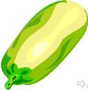 squash - any of numerous annual trailing plants of the genus Cucurbita grown for their fleshy edible fruits