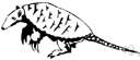 Priodontes - solely the giant armadillo