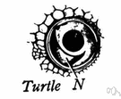 third eyelid - a protective fold of skin in the eyes of reptiles and birds and some mammals