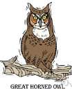 horned owl - large owls having prominent ear tufts