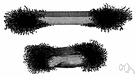 bar magnet - a magnet in the form of a bar with magnetic poles at each end
