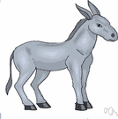 donkey - the symbol of the Democratic Party