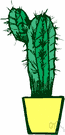 desert plant - plant adapted for life with a limited supply of water