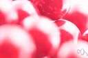 maraschino - cherry preserved in true or imitation maraschino liqueur