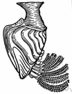 Lepas fascicularis - stalked barnacle that attaches to ship bottoms or floating timbers