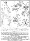 serictery - silk-producing gland of insects (especially of a silkworm) or spiders