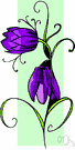 pink fritillary - California herb with pinkish purple flowers