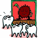 bacterial plaque - a film of mucus and bacteria deposited on the teeth that encourages the development of dental caries