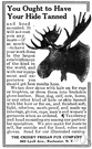 animal stuffer - a craftsman who stuffs and mounts the skins of animals for display