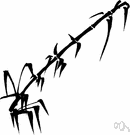 bamboo - the hard woody stems of bamboo plants