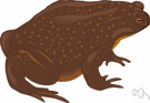 genus Padda - a genus of Ploceidae