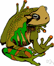 tree-frog - any of various Old World arboreal frogs distinguished from true frogs by adhesive suckers on the toes