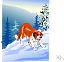 Saint Bernard - a Swiss alpine breed of large powerful dog with a thick coat of hair used as a rescue dog