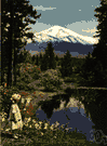Shasta - a member of the Indian people of northern California and southern Oregon
