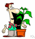 nurseryman - someone who takes care of a garden