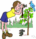 ornithologist definition of ornithologist by the free ornithologist definition of ornithologist by the free