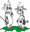 bovine spongiform encephalitis - a fatal disease of cattle that affects the central nervous system