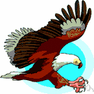 fishing eagle - of southeast Europe and central Asia