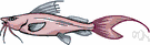 muttonfish - similar to and often marketed as `red snapper'
