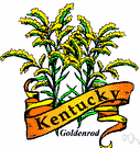 goldenrod - any of numerous chiefly summer-blooming and fall-blooming North American plants especially of the genus Solidago
