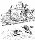 Badlands National Park - a national park in South Dakota having multicolored peaks and spires resulting from erosion