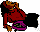 pampering - the act of indulging or gratifying a desire