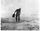 sandstorm - a windstorm that lifts up clouds of dust or sand