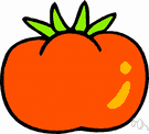 love apple - native to South America