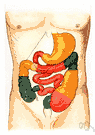 irregularity - irregular and infrequent or difficult evacuation of the bowels