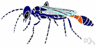 digger wasp - solitary wasp that digs nests in the soil and stocks them with paralyzed insects for the larvae
