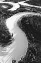 Snake River - a tributary of the Columbia River that rises in Wyoming and flows westward