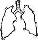cellular respiration - the metabolic processes whereby certain organisms obtain energy from organic molecules