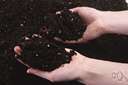 agrology - science of soils in relation to crops