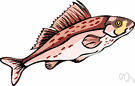 rockfish - the lean flesh of any of various valuable market fish caught among rocks rockfish - the lean flesh of any of various valuable market fish caught among rocks