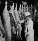 meat-packing business - wholesale packaging of meat for future sale (including slaughtering and processing and distribution to retailers)