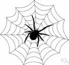 spider's web - a web resembling the webs spun by spiders