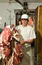 animal tissue - the tissue in the bodies of animals