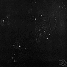 Little Dog - a constellation to the east of Orion