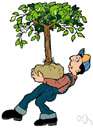 transplanting - the act of removing something from one location and introducing it in another location