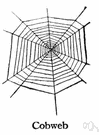 gossamer - filaments from a web that was spun by a spider