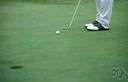 William Benjamin Hogan - United States golfer who won many major golf tournaments (1912-1997)